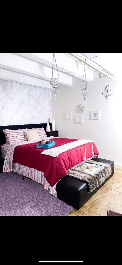 Modern Elite Open Style Loft With Rooftop Pool & Jacuzzi 洛杉矶 外观 照片